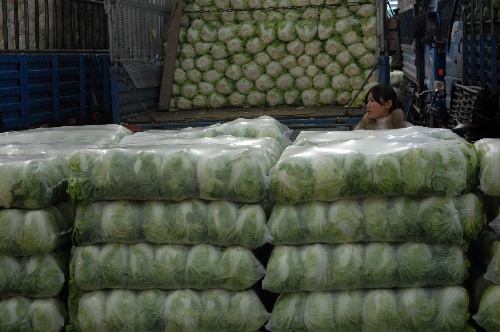 食用農(nóng)產(chǎn)品價(jià)格回落，18種蔬菜平均批發(fā)價(jià)環(huán)比下降5.9%
